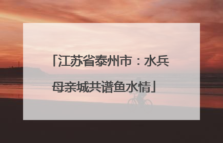 江苏省泰州市：水兵母亲城共谱鱼水情